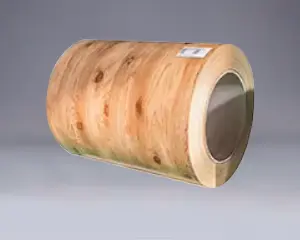PPGI PPGL катушкасы